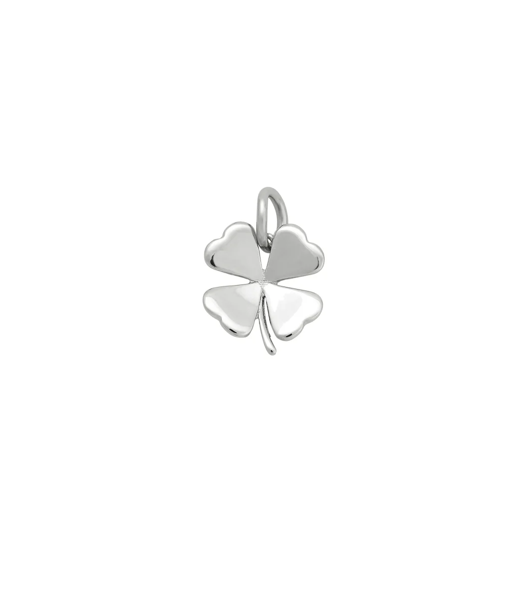 Charmentity Lucky Steel - Bild 2